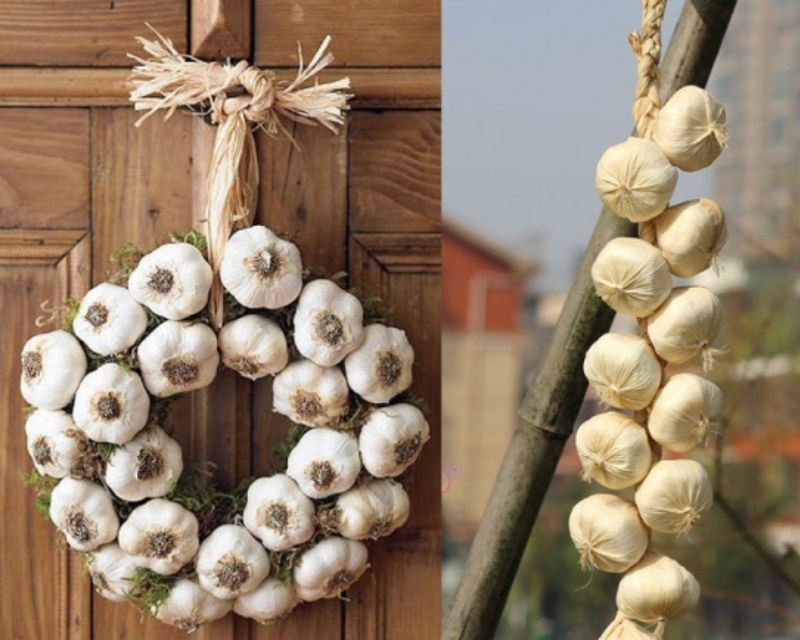 treo-gi-trong-nha-de-tru-ta-ma-2